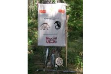 Fotografía de Hermandad Druida Dun Ailline Fotografía de Hermandad Druida Dun Ailline