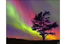 Logo para Saray Betsabe Santana Martín Logo para Saray Betsabe Santana Martín